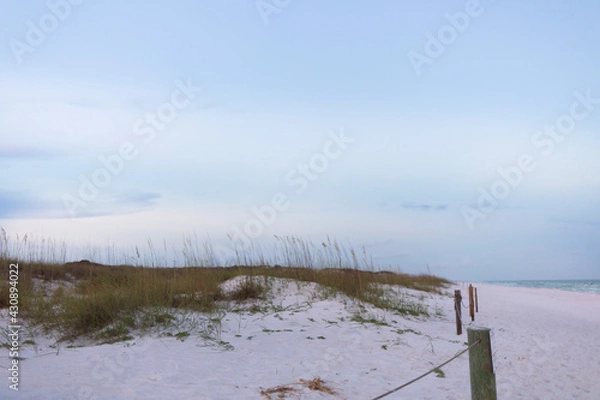 Obraz walk among dunes to beach
