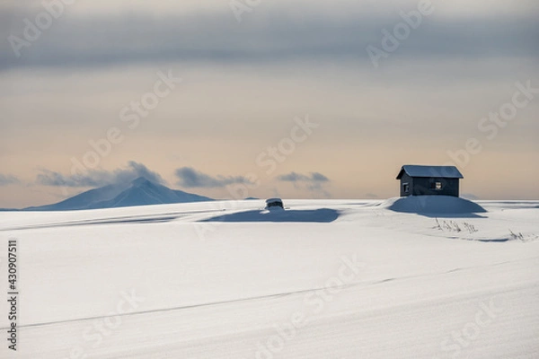 Obraz 冬の 美瑛の丘と十勝岳連峰
