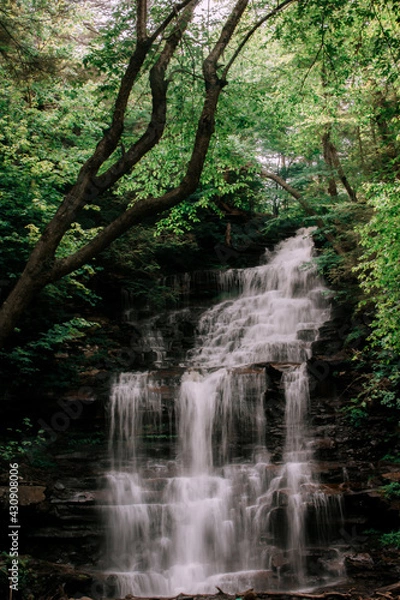 Obraz pennsylvania forest falls