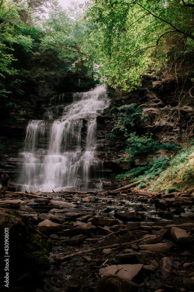 Obraz green forest with waterfall