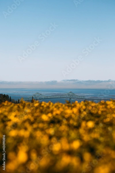 Fototapeta Astoria, Oregon, the first U.S. settlement on the Pacific coast, overlooks the Astoria Megler bridge as it crosses the Columbia river to the state of Washington.