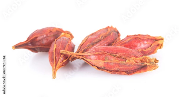 Obraz Gardenia fruit on white background