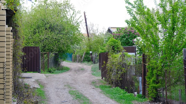 Obraz Buildings on summer cottages in Russia