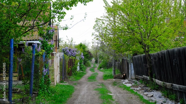 Obraz Buildings on summer cottages in Russia