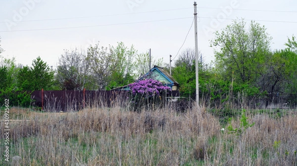 Obraz Buildings on summer cottages in Russia