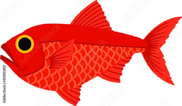 Fototapeta キンメダイのイラスト