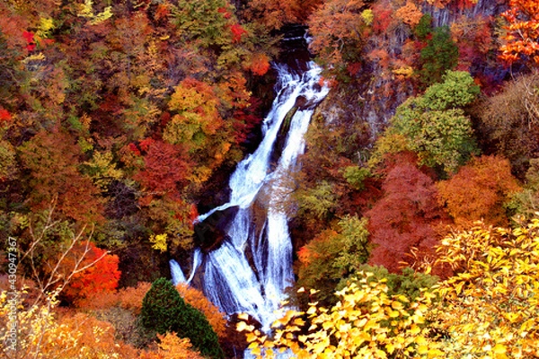 Obraz 日本の秋の代名詞　日光の霧降の滝と美しい紅葉