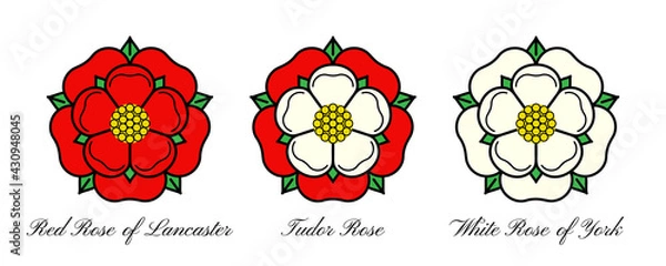 Fototapeta Tudoe rose of Englnd vector illustration.