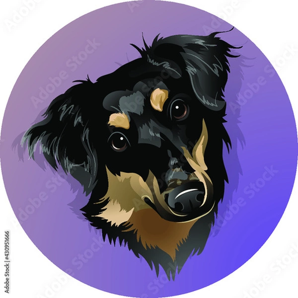 Fototapeta Portrait of a breedless black dog in a circle 
Funny pooch with ears 
Dog's muzzle mestizo brown color