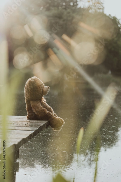 Fototapeta Teddy bear on the masonry