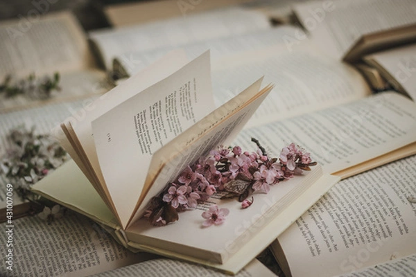 Fototapeta Books and spring