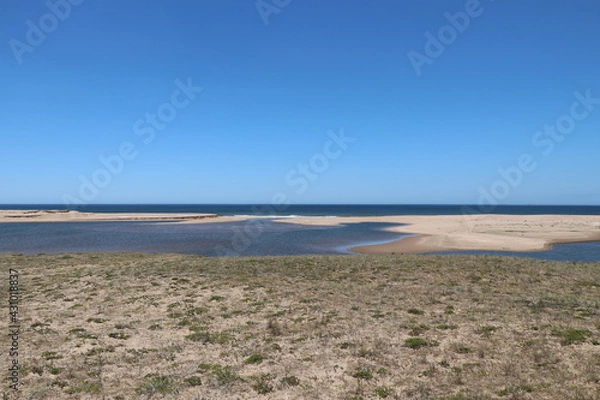 Fototapeta the estuary environment connects the lagoon to the ocean