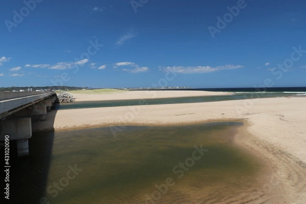 Obraz the estuary environment connects the lagoon to the ocean