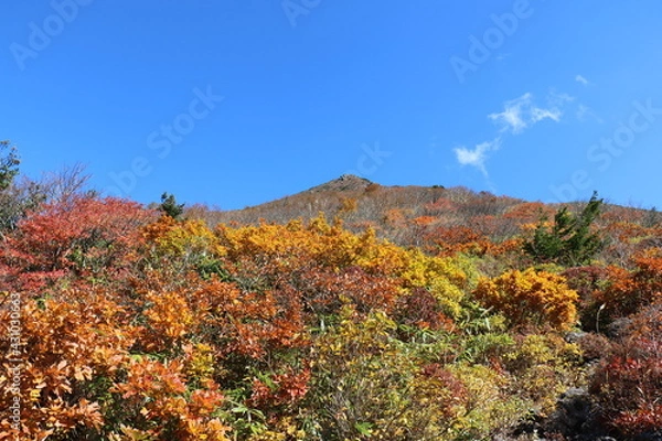 Fototapeta 秋の福島県の磐梯山の登山