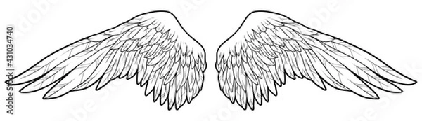 Obraz Beautiful angel wings, monochrome, vector