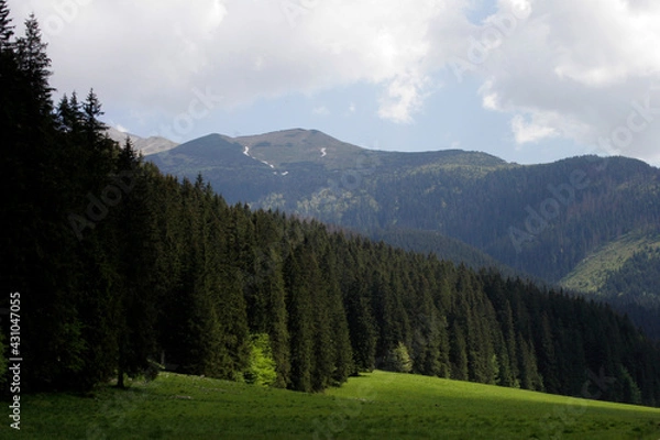 Obraz tatry