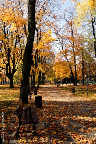 Obraz park jesienią