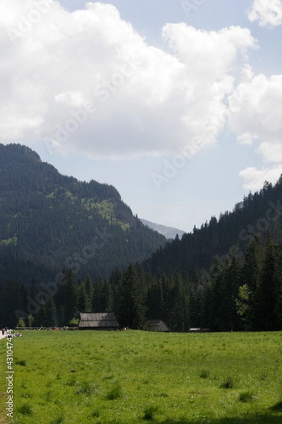 Fototapeta górska hatka