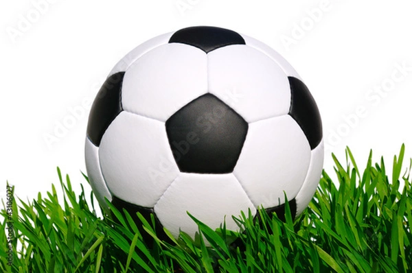 Obraz soccer ball