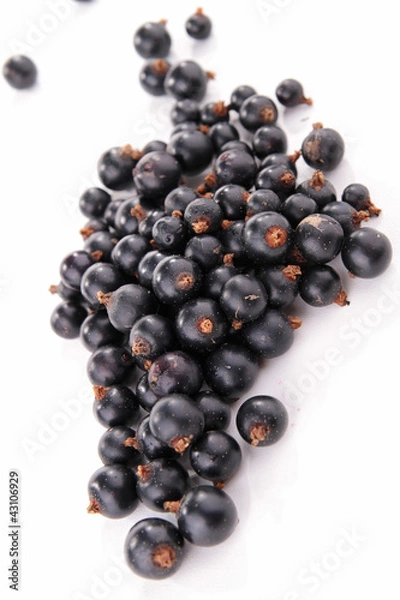 Obraz blackcurrant