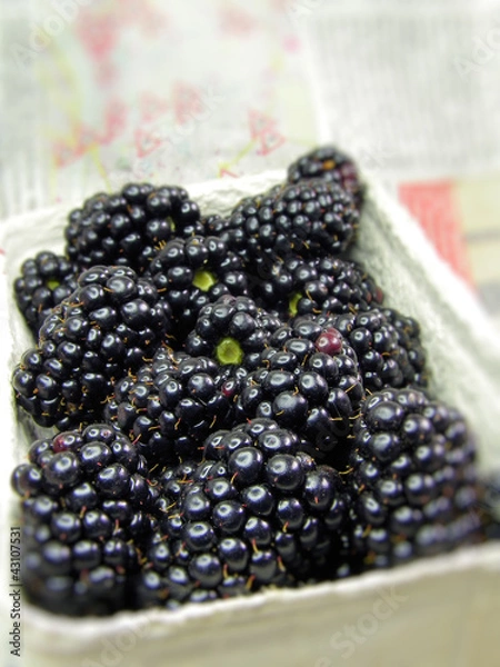 Obraz Brombeeren in Schale