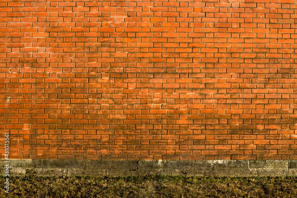 Obraz wall terracotta bricks background 