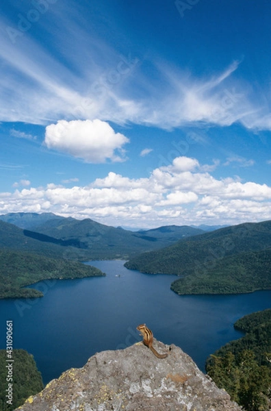 Obraz 然別湖とエゾシマリス（北海道・鹿追町）
