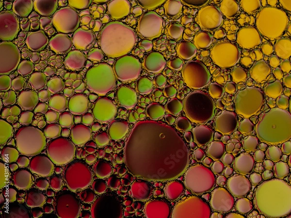 Obraz Oil bubbles on the water surface