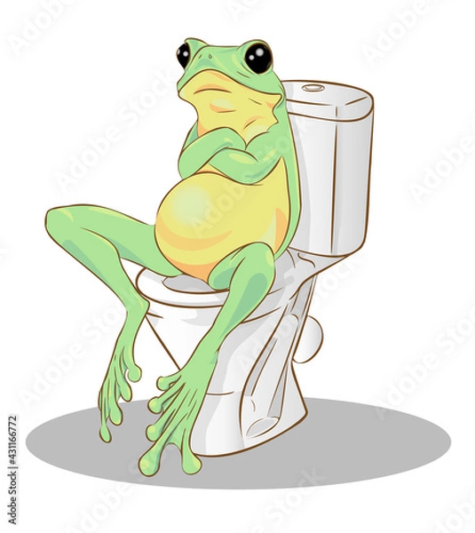 Fototapeta A pensive green frog sits on the toilet with its arms crossed over its chest. Vector illustration.
