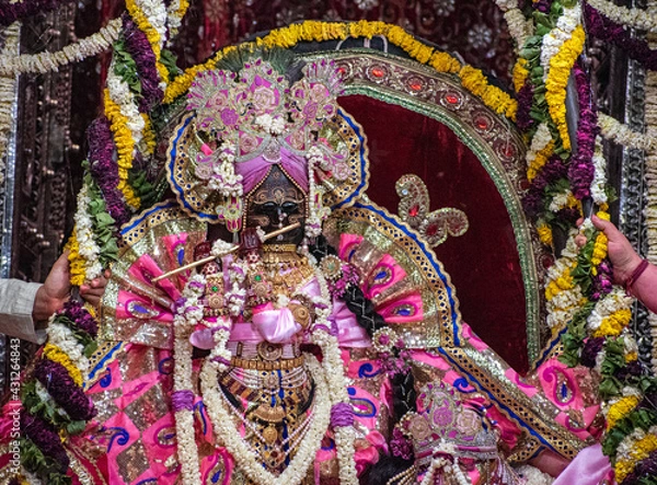 Fototapeta Holi in Banke Bihari Temple Vrindavan