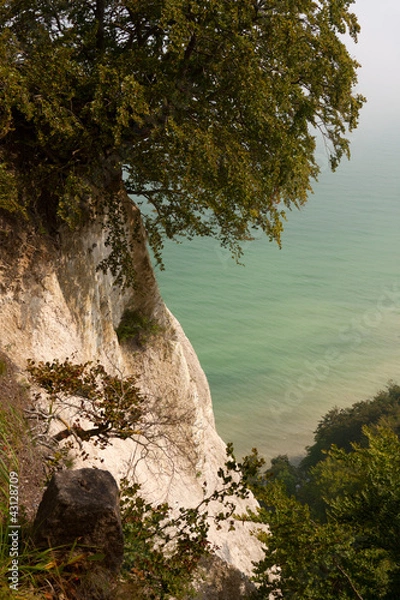 Fototapeta Kalkfelsspalte