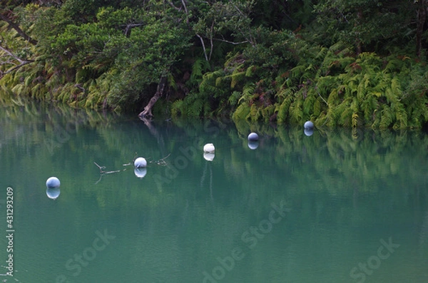 Obraz 池の水面に並ぶ5つのブイ