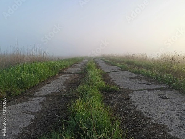 Obraz road in the field