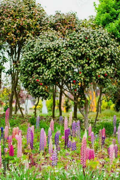 Fototapeta 정원에 있는 나무와 꽃들