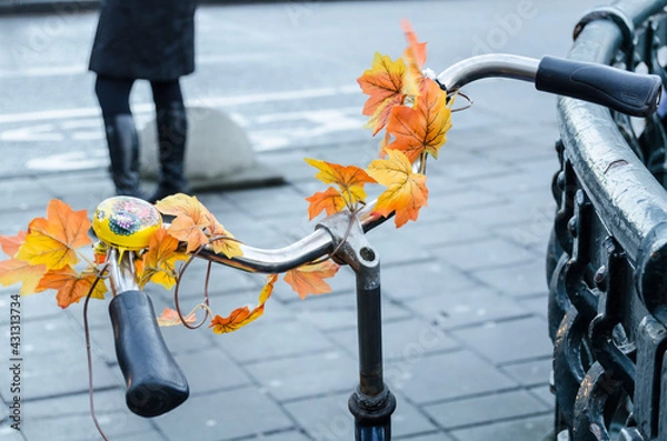 Obraz Holland Fahrrad