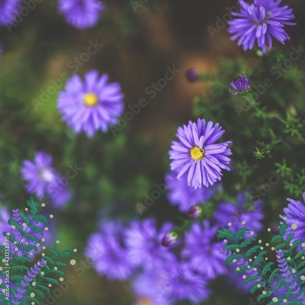 Obraz The purple flowers abstract design pattern