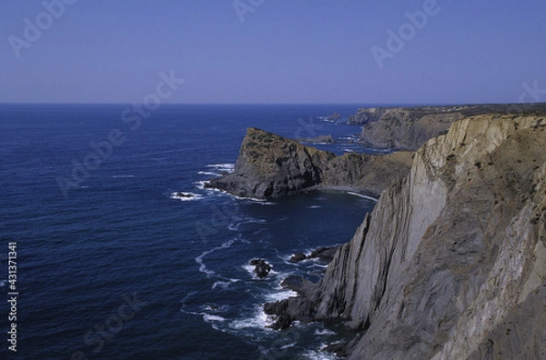 Obraz cota vicentina