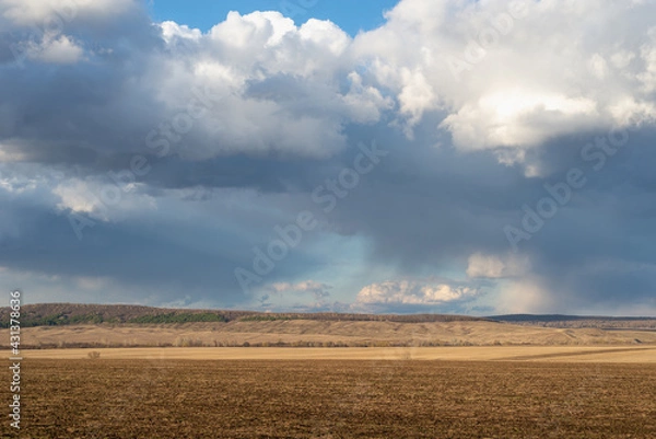 Fototapeta The field and the sky in the clouds before the rain.