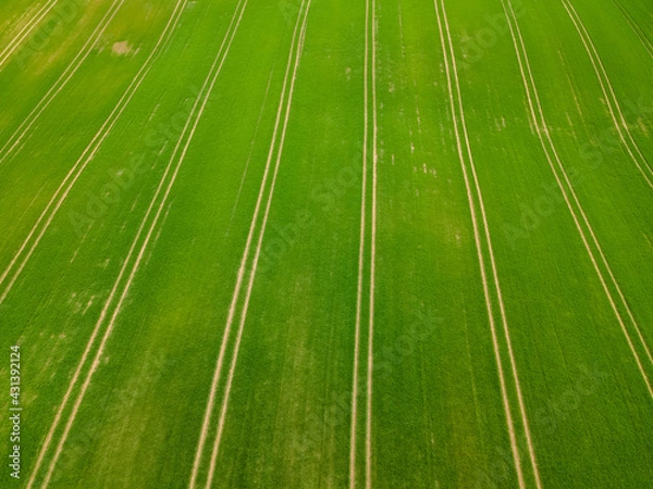 Obraz top down aerial green field with long path