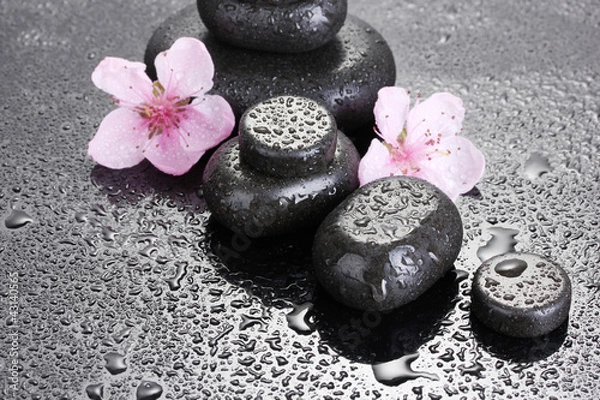 Fototapeta Spa stones with drops and pink sakura flowers