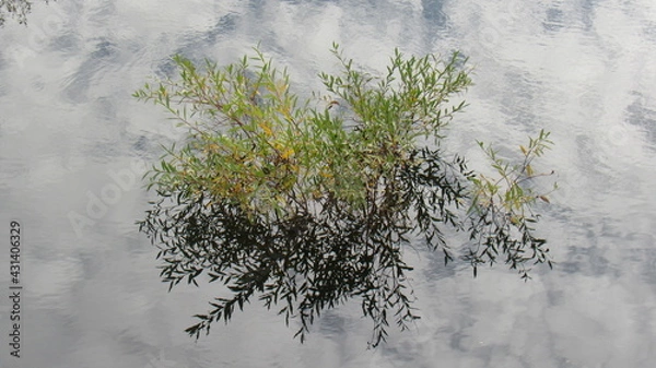 Obraz sky in the water