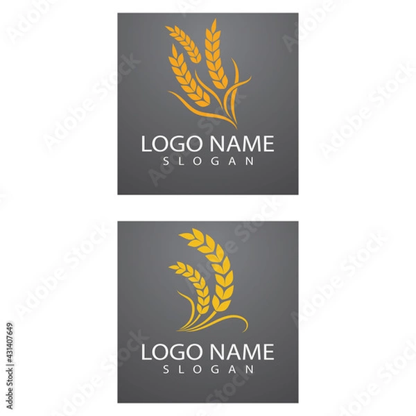 Obraz Agriculture wheat Logo Template vector icon design