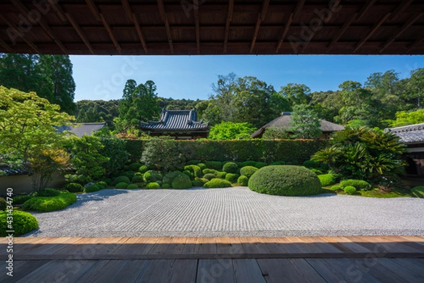 Obraz 京都　一休寺の方丈庭園　南庭　