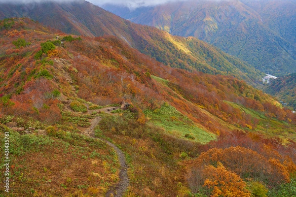 Obraz 秋の群馬県 谷川岳天神峠展望台から天神尾根、谷川岳ロープウェイ土合口駅方面を見る