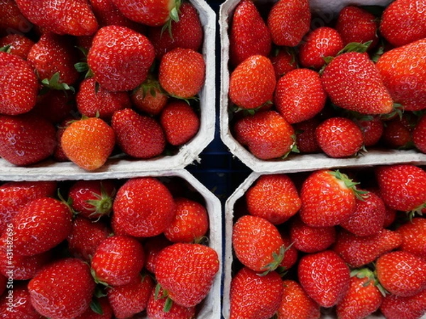 Obraz strawberries in a box