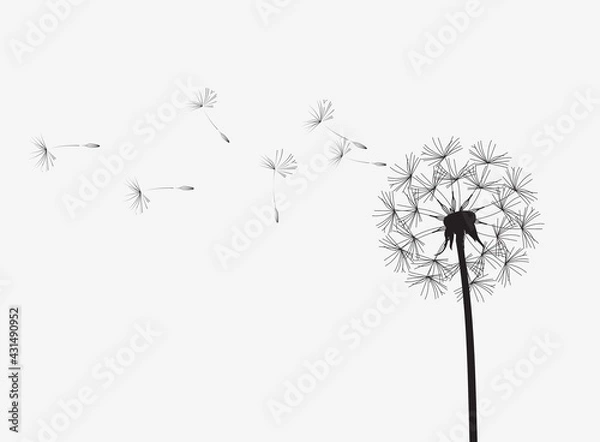 Obraz Abstract background of a dandelion for design.