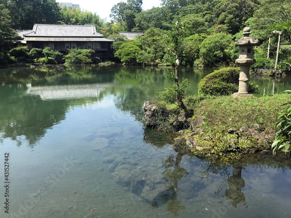 Fototapeta Kohama Pond filled with clear spring water at Rakujuen Park, Mishima, Japan