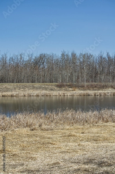 Fototapeta Pylypow Wetlands on a Spring Day