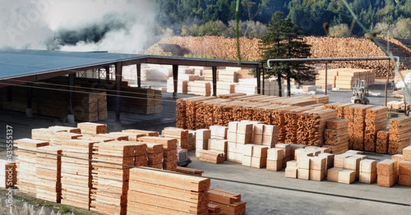 Obraz From forest to mill.