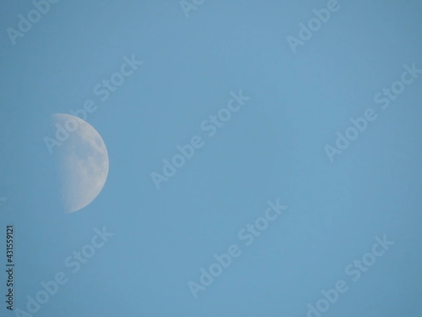 Fototapeta Daily Moon